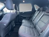 Ford Kuga bei Sportwagen.expert - Abbildung (10 / 15)