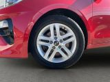 Kia Ceed bei Sportwagen.expert - Abbildung (4 / 15)