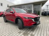 Mazda CX 5 bei Sportwagen.expert - Abbildung (15 / 15)