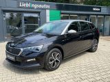 Skoda Scala bei Sportwagen.expert - Abbildung (15 / 15)