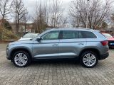 Skoda Kodiaq bei Sportwagen.expert - Abbildung (4 / 15)