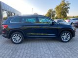 Skoda Kodiaq bei Sportwagen.expert - Abbildung (8 / 15)