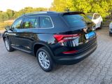 Skoda Kodiaq bei Sportwagen.expert - Abbildung (5 / 15)