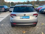 Skoda Karoq bei Sportwagen.expert - Abbildung (6 / 15)