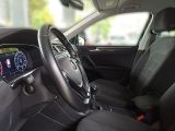 VW Tiguan bei Sportwagen.expert - Abbildung (6 / 15)