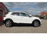 Kia Stonic bei Sportwagen.expert - Abbildung (7 / 15)