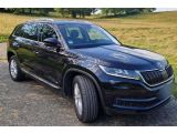 Skoda Kodiaq bei Sportwagen.expert - Abbildung (15 / 15)