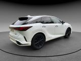 Lexus RX bei Sportwagen.expert - Abbildung (5 / 15)