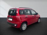 Fiat Panda bei Sportwagen.expert - Abbildung (6 / 13)