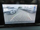 Ford Tourneo bei Sportwagen.expert - Abbildung (7 / 13)