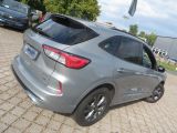 Ford Kuga bei Sportwagen.expert - Abbildung (3 / 15)