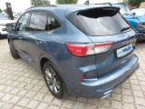 Ford Kuga bei Sportwagen.expert - Abbildung (2 / 15)