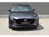 Mazda 3 bei Sportwagen.expert - Abbildung (2 / 15)