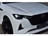 Mazda CX-60 bei Sportwagen.expert - Abbildung (2 / 15)