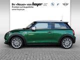 Mini Cooper bei Sportwagen.expert - Abbildung (3 / 11)