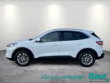 Ford Kuga bei Sportwagen.expert - Abbildung (3 / 15)