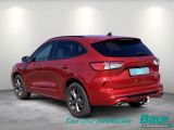 Ford Kuga bei Sportwagen.expert - Abbildung (4 / 15)