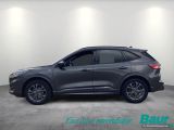 Ford Kuga bei Sportwagen.expert - Abbildung (3 / 15)