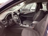 Ford Kuga bei Sportwagen.expert - Abbildung (11 / 15)