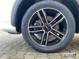 Mitsubishi Eclipse bei Sportwagen.expert - Abbildung (6 / 15)