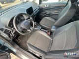 Ford EcoSport bei Sportwagen.expert - Abbildung (8 / 15)