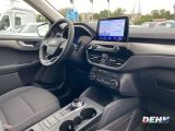 Ford Kuga bei Sportwagen.expert - Abbildung (13 / 15) Ford Kuga bei Sportwagen.expert - Abbildung (13 / 15)