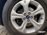 Ford Kuga bei Sportwagen.expert - Abbildung (6 / 15)