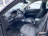 Mazda CX 5 bei Sportwagen.expert - Abbildung (7 / 15)