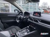 Mazda CX 5 bei Sportwagen.expert - Abbildung (13 / 15)