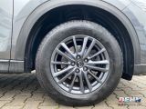 Mazda CX 5 bei Sportwagen.expert - Abbildung (6 / 15)