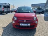 Fiat 500 bei Sportwagen.expert - Abbildung (2 / 13)