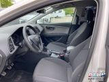 Seat Leon bei Sportwagen.expert - Abbildung (7 / 15)
