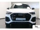 Audi SQ5 bei Sportwagen.expert - Abbildung (2 / 15)