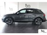 Audi SQ5 bei Sportwagen.expert - Abbildung (4 / 15)