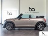 Mini Cooper bei Sportwagen.expert - Abbildung (4 / 15)