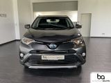 Toyota RAV 4 bei Sportwagen.expert - Abbildung (2 / 15)