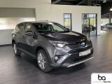 Toyota RAV 4 bei Sportwagen.expert - Abbildung (5 / 15)