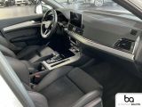 Audi SQ5 bei Sportwagen.expert - Abbildung (6 / 15)