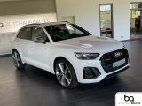 Audi SQ5 bei Sportwagen.expert - Abbildung (5 / 15)