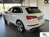 Audi SQ5 bei Sportwagen.expert - Abbildung (4 / 15)