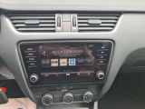 Skoda Octavia bei Sportwagen.expert - Abbildung (13 / 15)