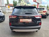 Ford Kuga bei Sportwagen.expert - Abbildung (6 / 15)