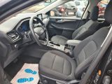 Ford Kuga bei Sportwagen.expert - Abbildung (8 / 15)