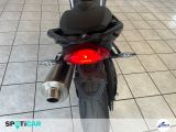 BMW F bei Sportwagen.expert - Abbildung (15 / 15)
