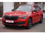 Skoda Kamiq bei Sportwagen.expert - Abbildung (2 / 15)