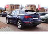 Audi Q5 bei Sportwagen.expert - Abbildung (3 / 15)