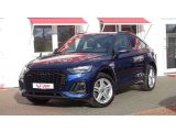 Audi Q5 bei Sportwagen.expert - Abbildung (2 / 15)