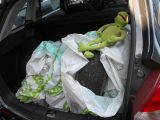 Skoda Fabia bei Sportwagen.expert - Abbildung (14 / 15)