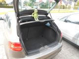 Audi A3 Sportback bei Sportwagen.expert - Abbildung (5 / 15)