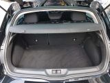 Renault Megane bei Sportwagen.expert - Abbildung (6 / 14)